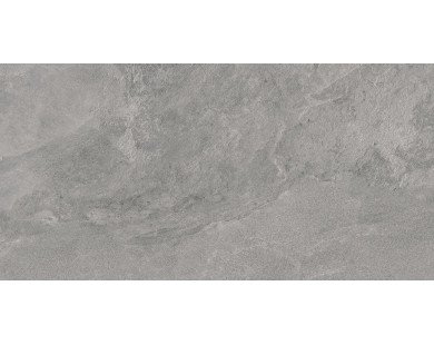Porter Gray Керамогранит серый LP6012G0181R 59,5х119,1 матовый