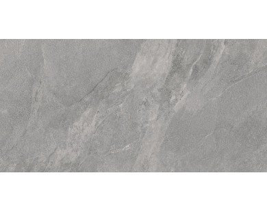 Porter Gray Керамогранит серый LP6012G0181R 59,5х119,1 матовый