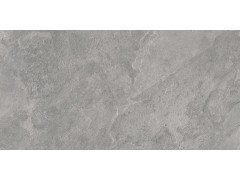 Porter Gray Керамогранит серый LP6012G0181R 59,5х119,1 матовый