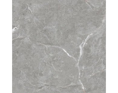 Stone Cool Grey Керамогранит серый 60х60 Матовый