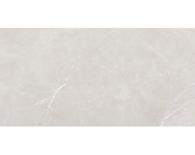 Vitrum Grey Керамогранит серый 60x120 полированный