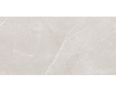 Vitrum Grey Керамогранит серый 60x120 полированный