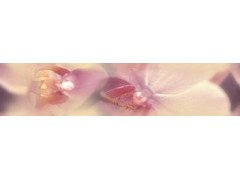 Blossom Бордюр B200D183 4,5х20 Дельта Керамика