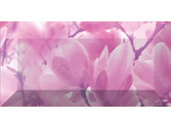 Magnolia Бордюр рельефный br1020D297-2 20х10