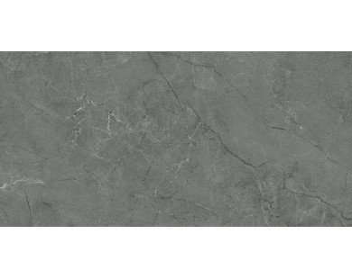 Pluto gris Керамическая плитка 48049R 40x80 матовый обрезной