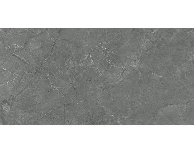 Pluto gris Керамическая плитка 48049R 40x80 матовый обрезной