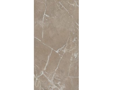Серенада бежевый тёмный глянцевый обрезной 11245R 30x60