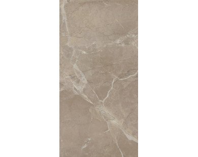 Серенада бежевый тёмный глянцевый обрезной 11245R 30x60
