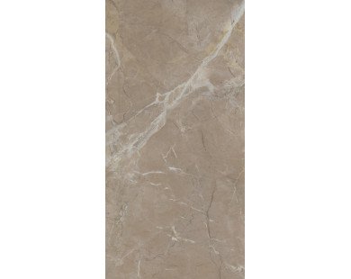Серенада бежевый тёмный глянцевый обрезной 11245R 30x60