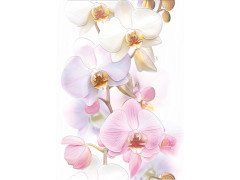 Tropicana Декор Orchids (TC2M051DT) 25х35 Cersanit