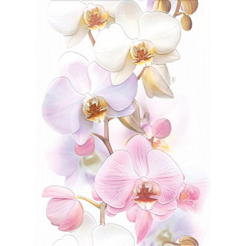 Tropicana Декор Orchids (TC2M051DT) 25х35 Cersanit