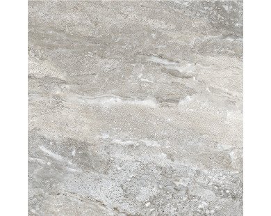 Energy Gris Керамогранит серый SG620422R 60х60 полированный