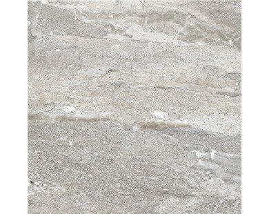 Energy Gris Керамогранит серый SG620422R 60х60 полированный