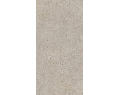 Риккарди Керамогранит бежевый матовый обрезной SG540620R 60x119,5