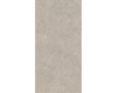 Риккарди Керамогранит бежевый матовый обрезной SG540620R 60x119,5