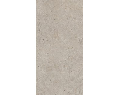 Риккарди Керамогранит бежевый матовый обрезной SG540620R 60x119,5