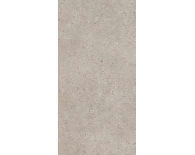 Риккарди Керамогранит бежевый матовый обрезной SG540620R 60x119,5