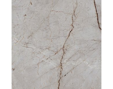 Silver Root Керамогранит 60х60 Полированный