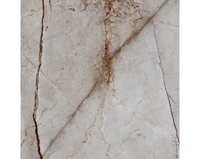 Silver Root Керамогранит 60х60 Полированный