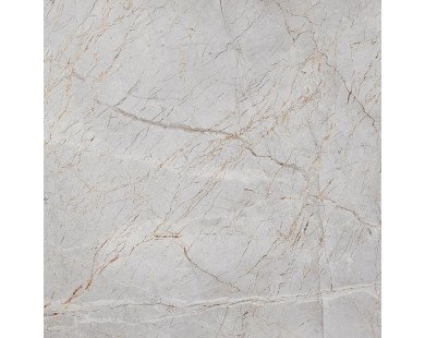 Silver Root Керамогранит 60х60 Полированный