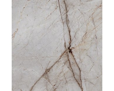 Silver Root Керамогранит 60х60 Полированный