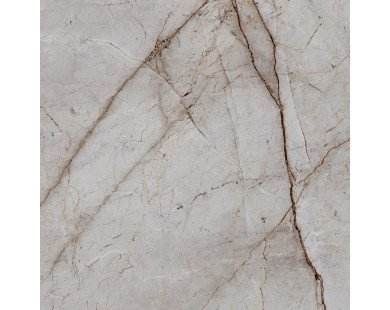 Silver Root Керамогранит 60х60 Полированный