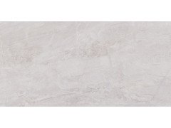 Парнас Керамогранит серый светлый обрезной SG809400R   40х80 (Малино)