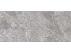 Belgium Grey Polished 120x280