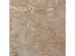Desert Grey 60x60