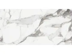 Origines De Rex Argent Matte 60x120