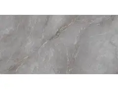 Orobico Grey Polished 60x120