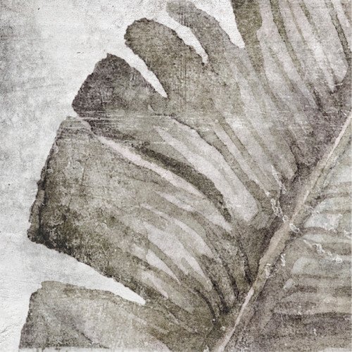 Tropic Grey Matt 13.8x13.8
